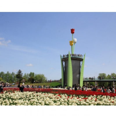 【毎月定期便】【まると牛乳】ヨーグルトスパウト 700g　無糖・甘みつきセット全6回【配送不可地域：離島】