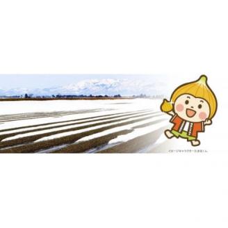 となみ野極旨レトルトカレーセット　200g×6箱入り