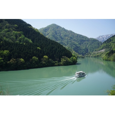 【まると牛乳　お試しセット2】富山県砺波市から乳製品の詰め合わせ【配送不可地域：離島・北海道・沖縄県】