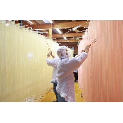 富山県砺波市　柿里商店　手延べ素麺「knot charm 桜 3」桜もお召し上がりいただけます