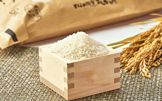 【令和7年産】となみ野米こしひかり5kg