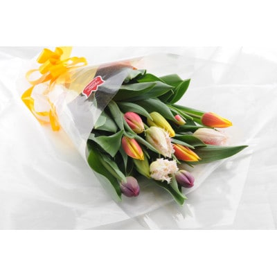 チューリップ切花(30本)