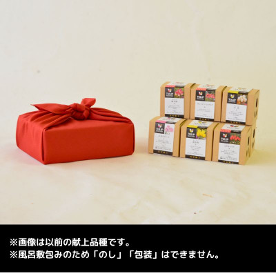 チューリップ球根 皇室献上品種セット