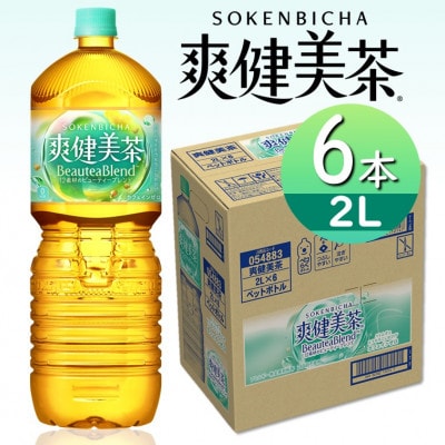 爽健美茶2.0LPET×6本