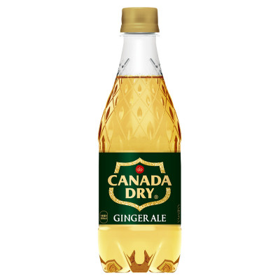 カナダドライジンジャーエール 500mlPET×24本