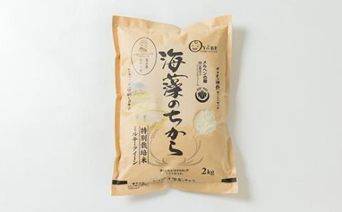 特別栽培米4kg(精米/ミルキークイーン・コシヒカリ 各2kg)