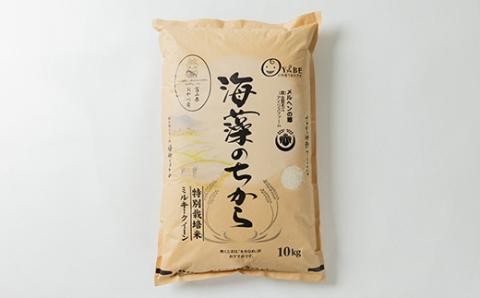 特別栽培米20kg (精米/ミルキークイーン10kg×2)