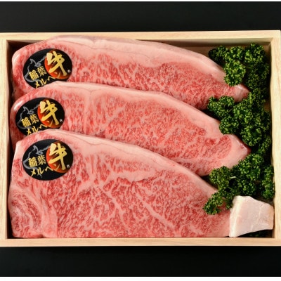 稲葉メルヘン牛(A4-A5)　サーロインステーキ(210g×5枚)【配送不可地域：離島・北海道・沖縄県・東北・中国・四国・九州】