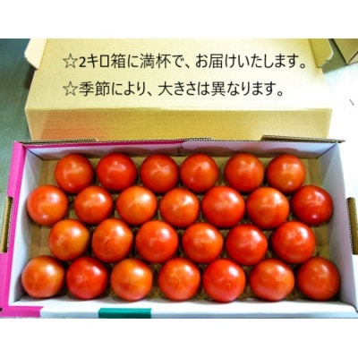 フルーツトマト「深層水トマト」2キロ【配送不可地域：離島】