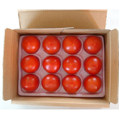 お試しサイズ!フルーツトマト「深層水トマト」約700g