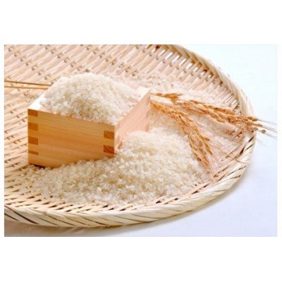 【毎月定期便】富山県メルヘン米コシヒカリ計50kg(10kg×5回)全5回