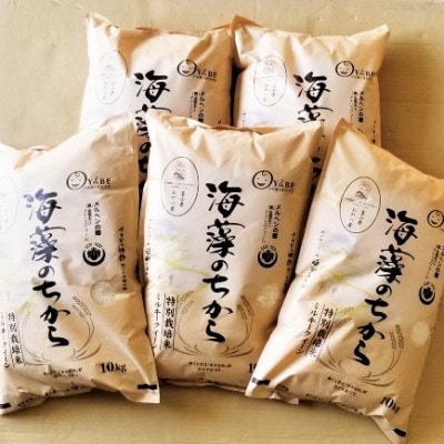 【毎月定期便】ミルキークイーン(海藻のちから)(精米)10kg全5回