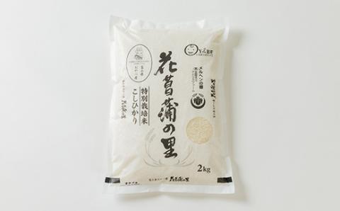 特別栽培米4kg(精米/ミルキークイーン・コシヒカリ 各2kg)