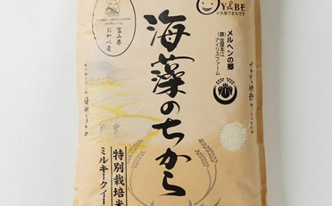 特別栽培米20kg (精米/ミルキークイーン10kg×2)