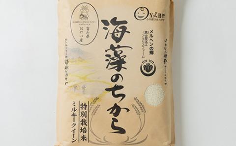 2023年10月発送開始『定期便』ミルキークイーン(海藻のちから)5kg×10ヶ月連続　全10回