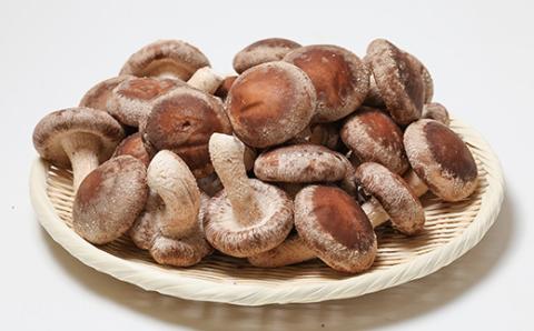 生しいたけ(パック)30P箱入り【配送不可地域：離島】