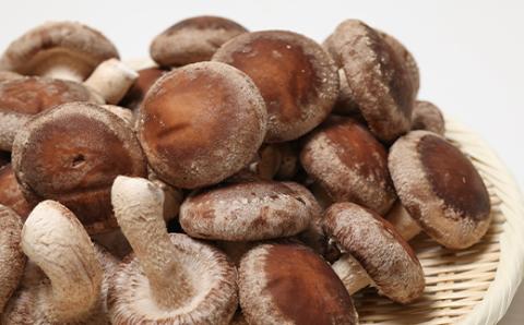 生しいたけ(バラ)3キロ箱入り【配送不可地域：離島】