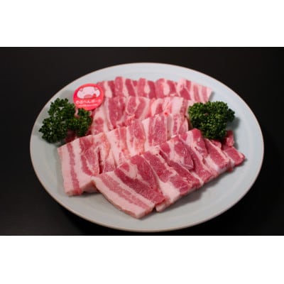 めるへんポーク　豚焼肉デイリーセット　1.1Kg (焼肉用500g、豚こま600g)【配送不可地域：離島・北海道・沖縄県・東北・中国・四国・九州】