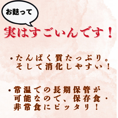 (株)スギタニ 車麩スライス (徳用)40g×20袋