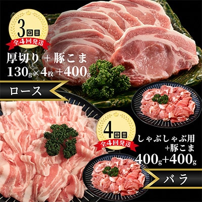 【2ヵ月毎定期便】メルヘンポーク定期便　豚こま・味噌漬・焼肉・とんかつ・しゃぶしゃぶ全4回【配送不可地域：離島・北海道・沖縄県・東北・中国・四国・九州】