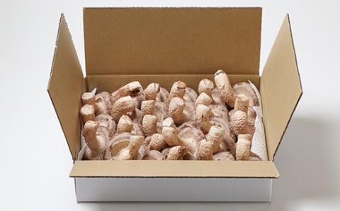 生しいたけ(バラ)3キロ箱入り【配送不可地域：離島】