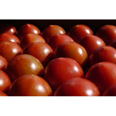 深層水トマトジュース大瓶2本セット