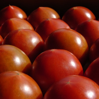 深層水トマトジュース大瓶12本セット