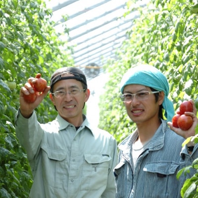 感動のフルーツトマト「深層水トマト」3キロ【配送不可地域：離島】