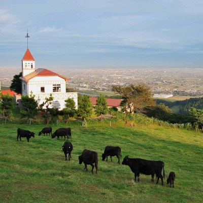 稲葉メルヘン牛(A4-A5)　牛切り落とし400g【配送不可地域：離島・北海道・沖縄県・東北・中国・四国・九州】