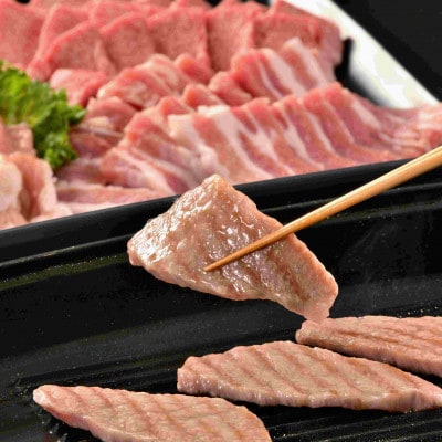 稲葉メルヘン牛(A4-A5)　上カルビ焼肉600g(肩/肩ロース/バラのいずれか)【配送不可地域：離島・北海道・沖縄県・東北・中国・四国・九州】