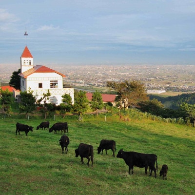 稲葉メルヘン牛(A4-A5)　サーロインステーキ(210g×5枚)【配送不可地域：離島・北海道・沖縄県・東北・中国・四国・九州】