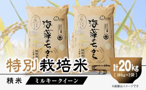 特別栽培米20kg (精米/ミルキークイーン10kg×2)