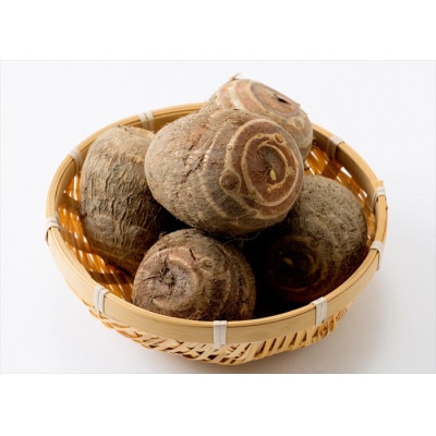 里芋「縄文の里芋」10kg