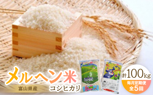 【毎月定期便】富山県メルヘン米コシヒカリ計100kg(20kg×5回)全5回