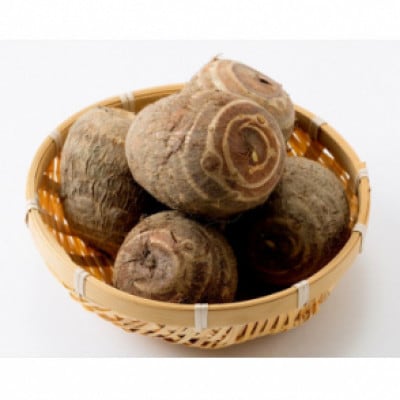 【お試しサイズ】里芋「縄文の里芋」2.8kg