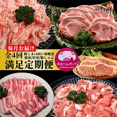【毎月定期便】メルヘンポーク定期便　豚こま・味噌漬・焼肉・とんかつ・しゃぶしゃぶ全4回【配送不可地域：離島・北海道・沖縄県・東北・中国・四国・九州】