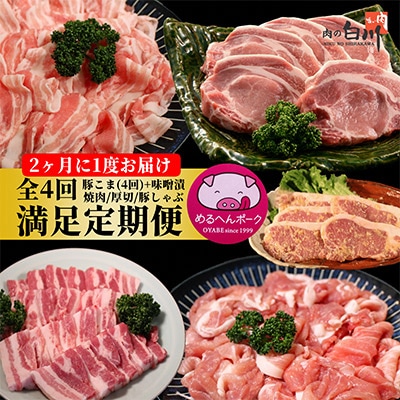 【2ヵ月毎定期便】メルヘンポーク定期便　豚こま・味噌漬・焼肉・とんかつ・しゃぶしゃぶ全4回【配送不可地域：離島・北海道・沖縄県・東北・中国・四国・九州】