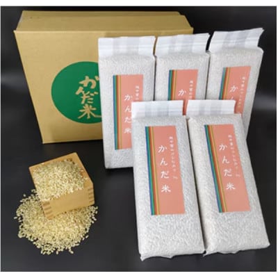 【毎月定期便】鮮度の米　かんだ米『コシヒカリ』玄米　真空パック　1kg×5袋全6回