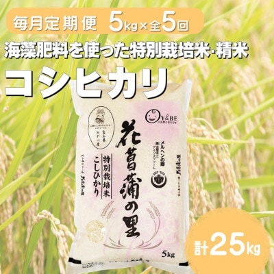 【毎月定期便】特別栽培米コシヒカリ(花菖蒲の里)(精米)5kg全5回