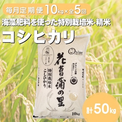 【毎月定期便】特別栽培米コシヒカリ(花菖蒲の里)(精米)10kg全5回
