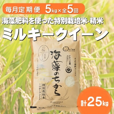 【毎月定期便】ミルキークイーン(海藻のちから)(精米)5kg全5回