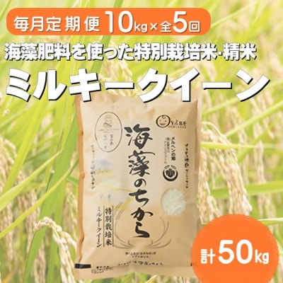 【毎月定期便】ミルキークイーン(海藻のちから)(精米)10kg全5回