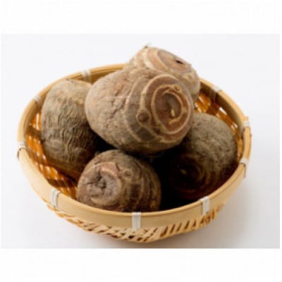 【毎月定期便】里芋「縄文の里芋」5kg全2回