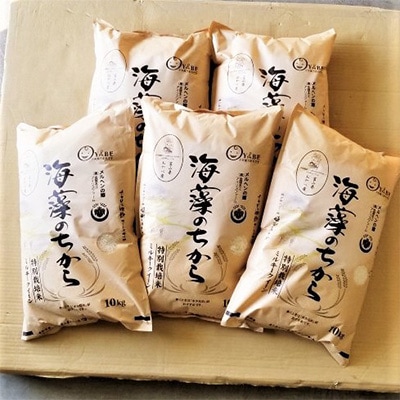 2024年2月発送開始『定期便』ミルキークイーン(海藻のちから)10kg×5ヶ月連続　全5回
