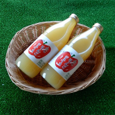 2023年12月発送開始『定期便』【隔月】丸ごとサンふじりんごジュース　1L×2本　全6回