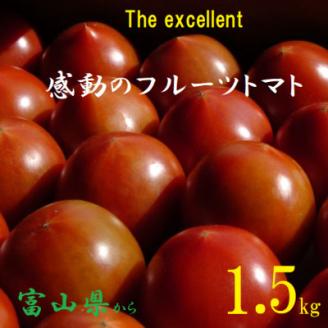 フルーツトマト(深層水トマト)1.5キロ[配送不可地域:離島]