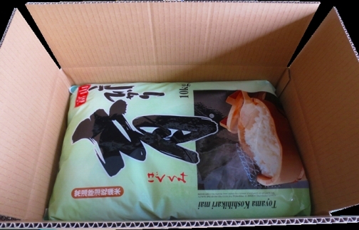 【令和7年産】富山県産こしひかり　育（はぐくみ）白米１０kg《南砺の逸品》 10kg（内容量10kg×1個）