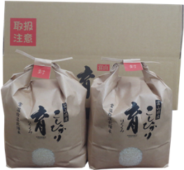 定期便・12回  富山県産こしひかり 　育（はぐくみ）  白米３kg×２袋《南砺の逸品》