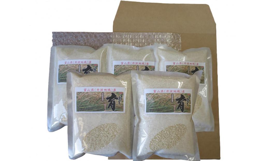 【令和7年産】使いきりパック  富山県産こしひかり 　育（はぐくみ）  白米300ｇ（2合）5個セット《南砺の逸品》