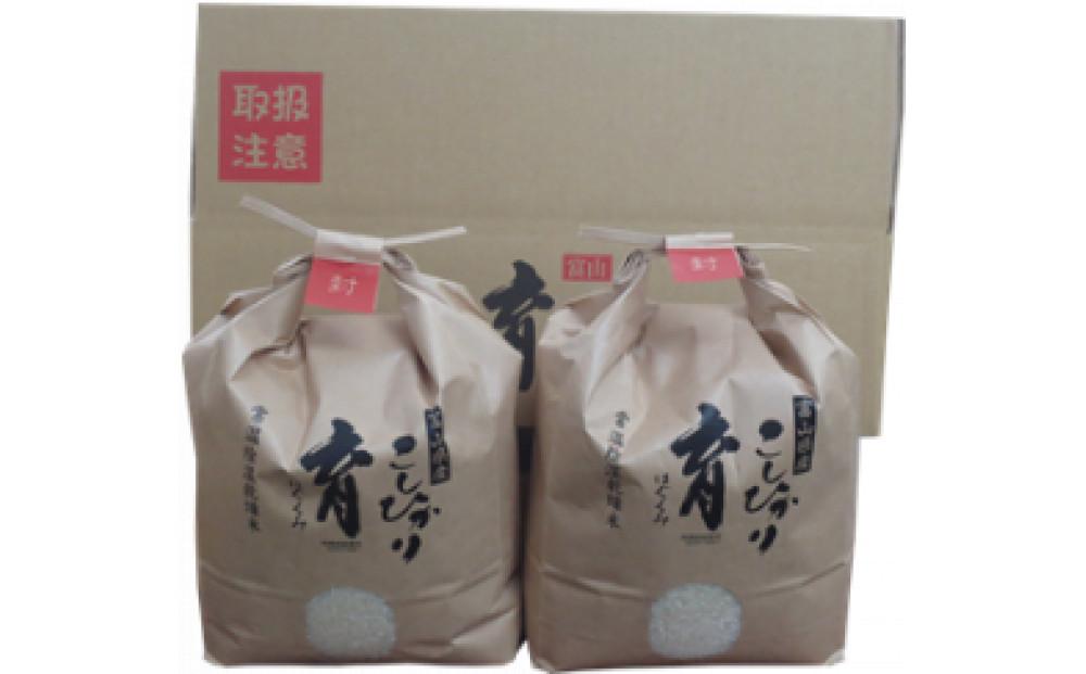定期便・12回  富山県産こしひかり 　育（はぐくみ）  白米３kg×２袋《南砺の逸品》 定期便・12回　３kg×２袋